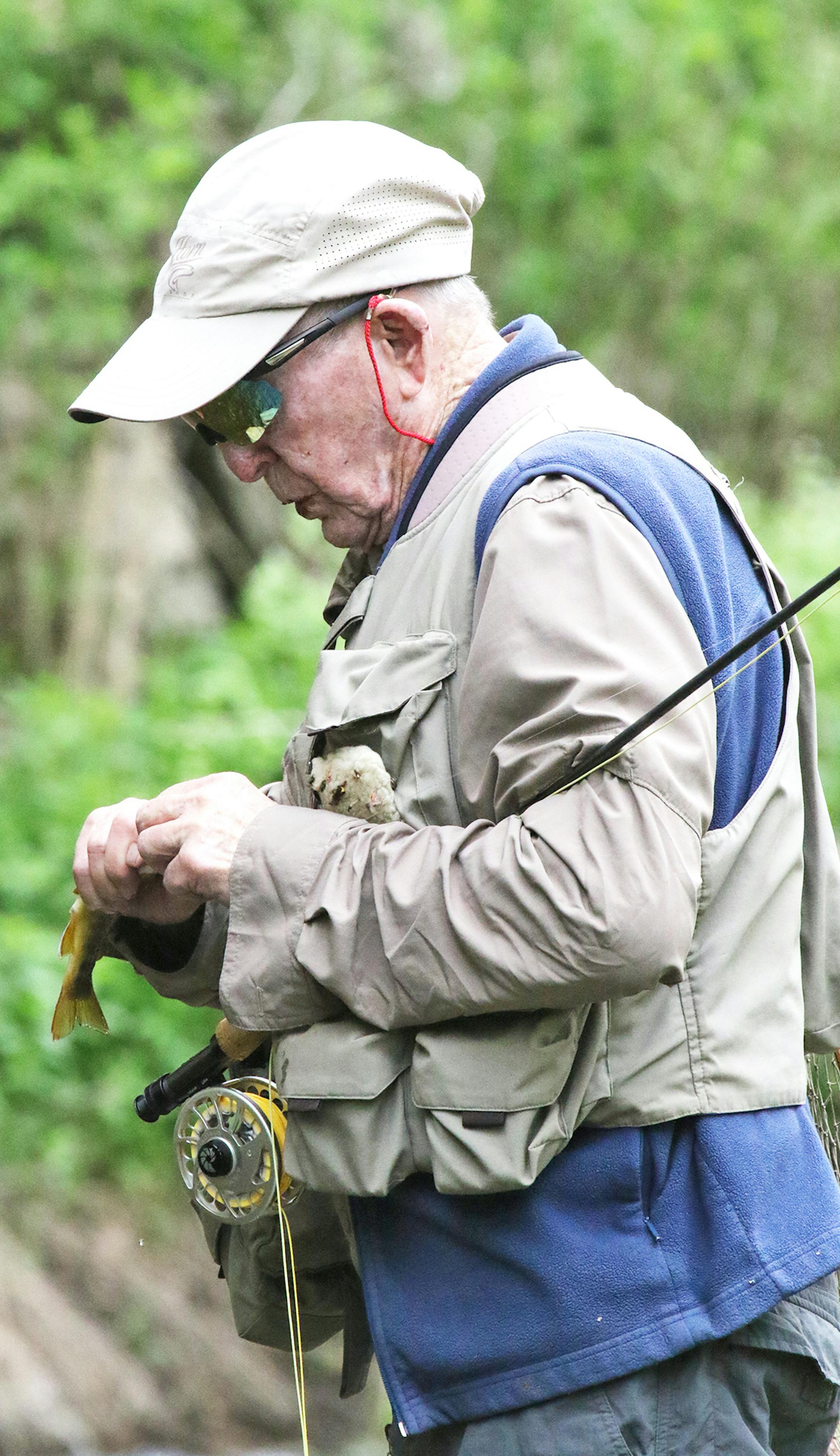 Bob "Sandy" Sanderson of Buffalo, Minn., unhooks a wild brown trout he caught recently on the south branch of the Root River. He released it along with others he caught. The 83-year-old fly fishing enthusiast grew up in the state's Driftless area and his boyhood was filled with fishing experiences he recalled during a return trip to the fishing holes of his youth.