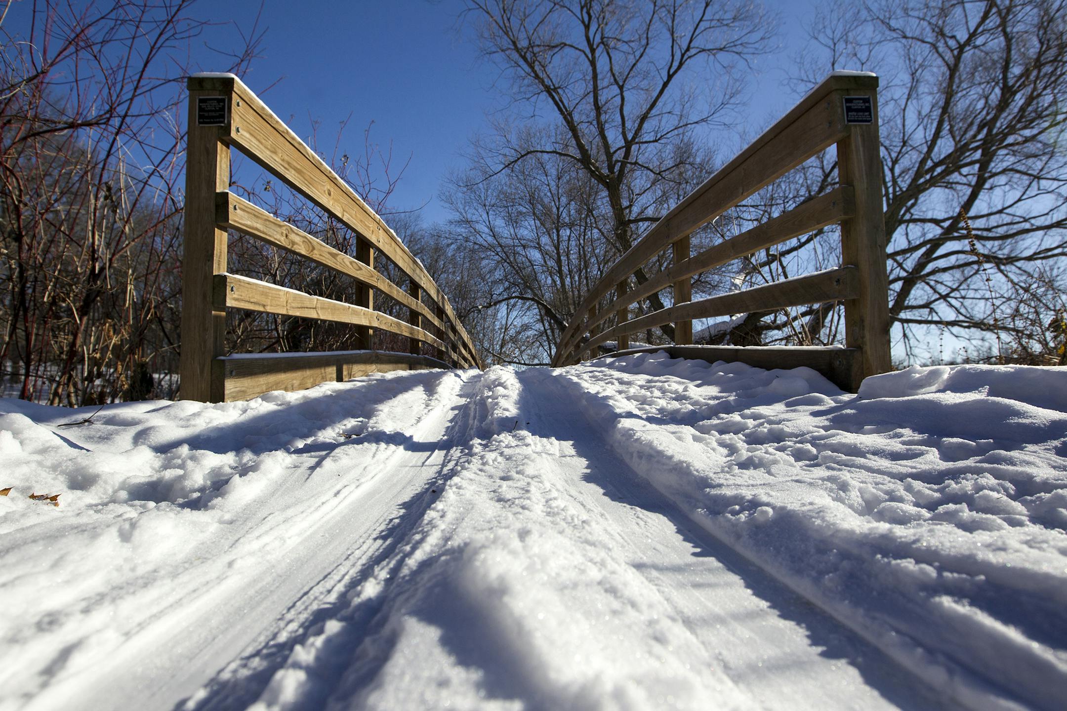 The Green Heron Trail is a dedicated cross country skiing trail during the winter at the Minnesota Landscape Arboretum in Chaska January 2, 2014. (Courtney Perry/Special to the Star Tribune) ] Admission to the arboretum is free during the month of January. Snow shoes are available for rent, and guests are welcome to bring their own cross country skis.