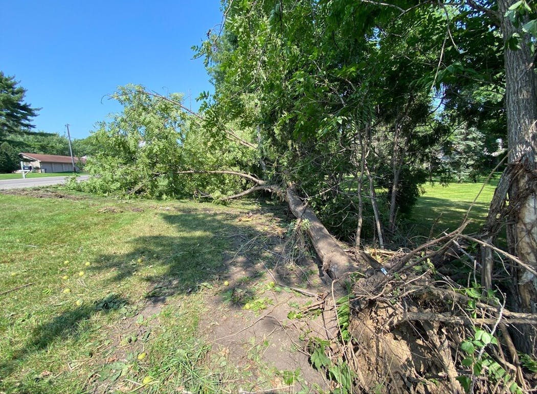 The crash scene on eastbound Lake Shore Drive in Orono on Sunday, July 25. Officials reconstructed the crash, marking a stretch of about 21 feet where the vehicle drove off the road before downing several trees at the end of a driveway. 