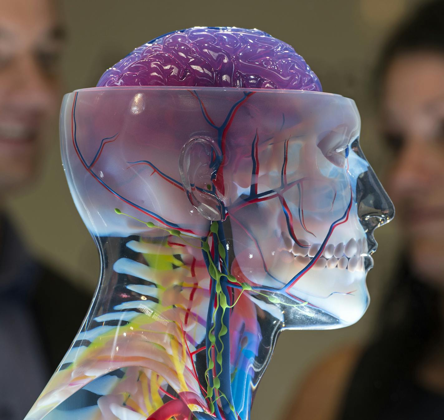 People stand behind a 3D printed model for medical purposes at the stand of the US company Stratasys during the international fairs FabCon 3.D and Rapid.Tech at Messe Erfurt in Erfurt, Germany, Tuesday, June 14, 2016. Exhibitors from all over the world present the latest products and applications in the fields of additive manufacturing and 3D printing until June 16, 2016. (AP Photo/Jens Meyer) ORG XMIT: JME101