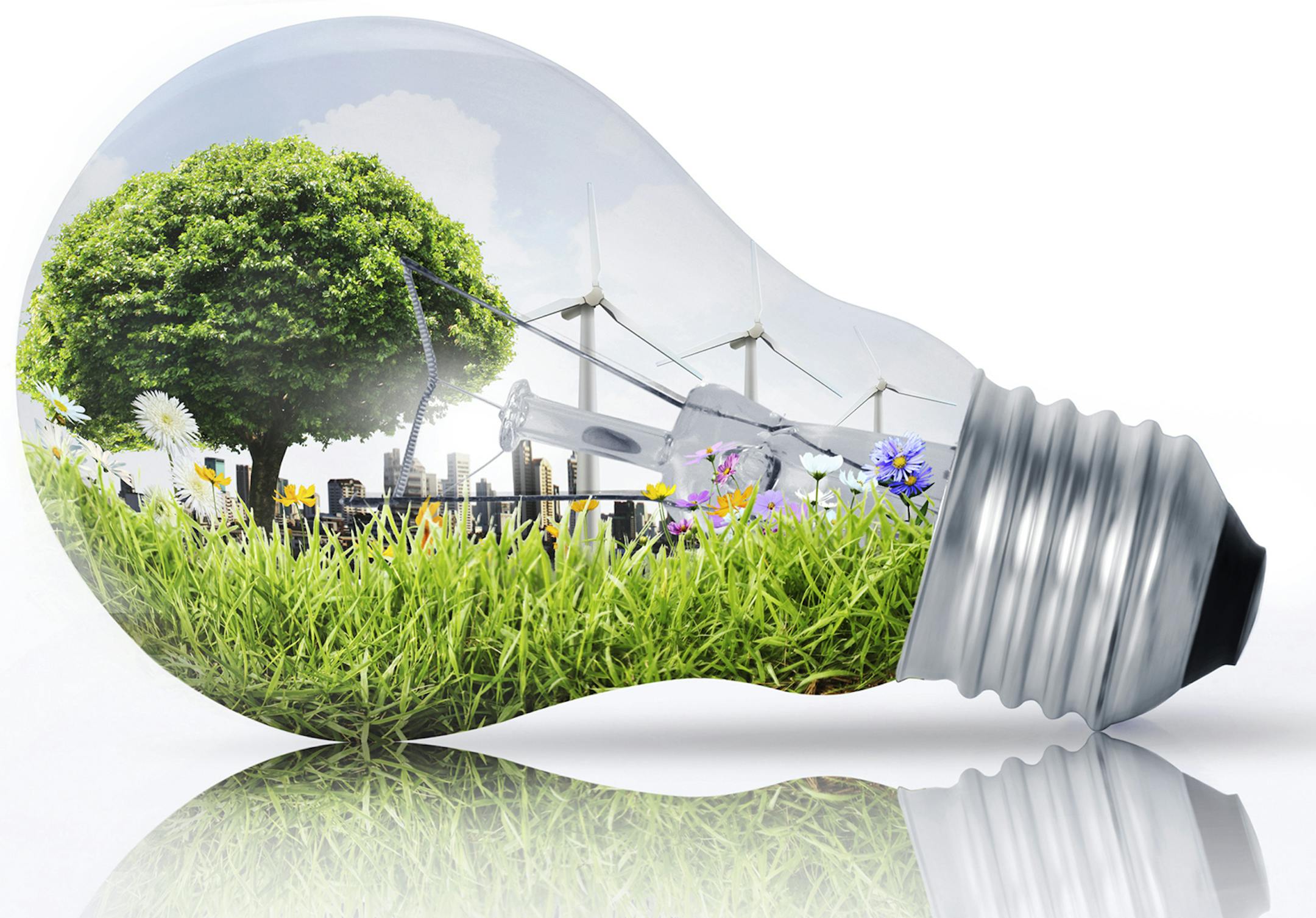 iStockphoto.com