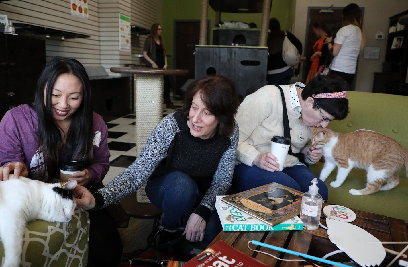 Tasha Lauj, left, of St. Paul and Diane Aronson, center, of St. Louis Park pet Tinkerbell as Mona Pougiales gave a kiss on the head to Nani Friday afternoon at The Cafe Meow. ] ANTHONY SOUFFLE &#xef; anthony.souffle@startribune.com The Cafe Meow, a coffee shop that allows customers with reservations to mingle with adoptable cats held their grand opening Friday, Feb. 16, 2018 in Minneapolis. Unlike their counterparts in Europe and Japan The Caf&#xc8; Meow cats are in a separate room from the caf&