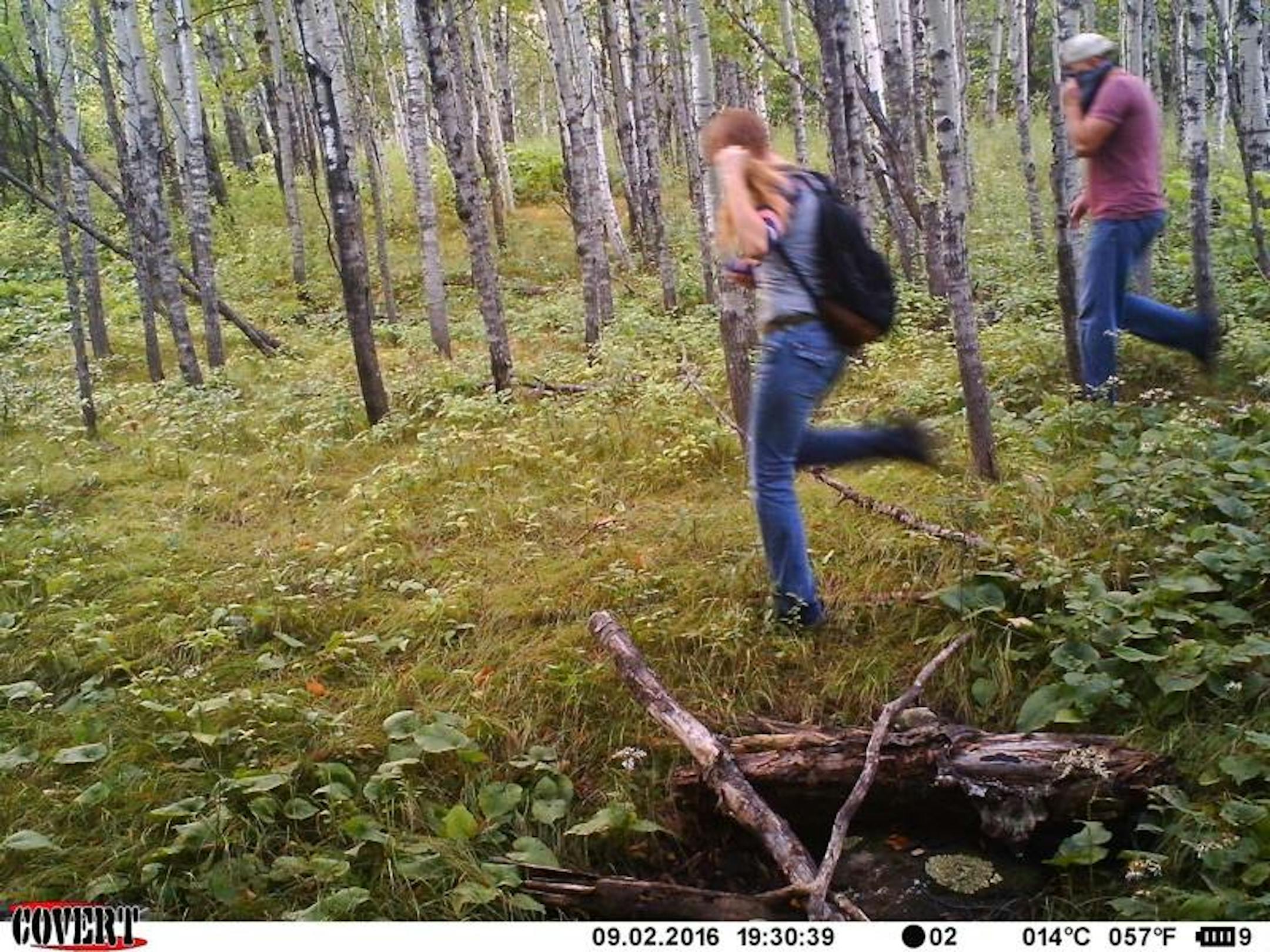 Photographs of at least two thieves in action were posted to the Duluth Police Department's Facebook page.