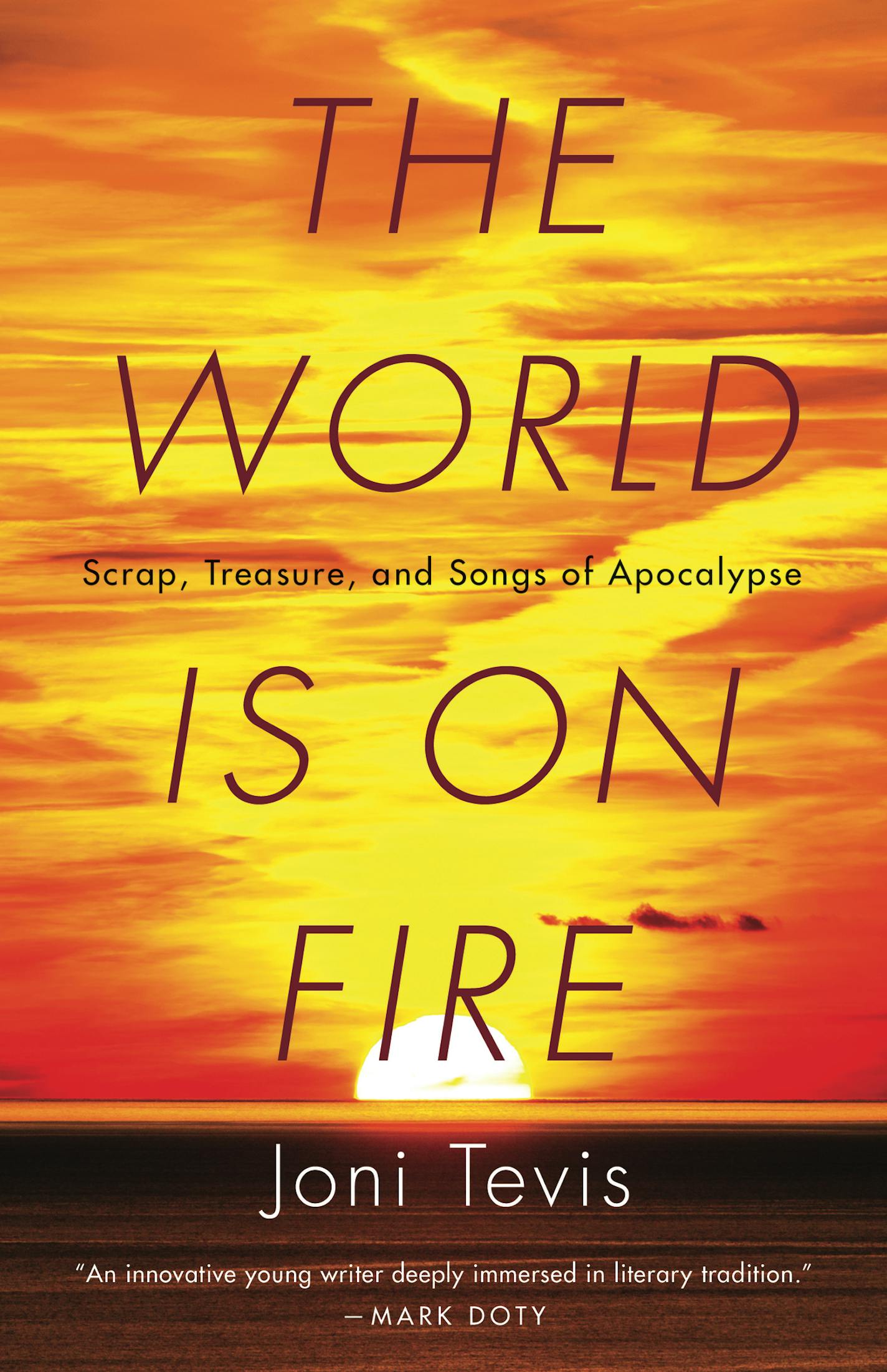 "The World is on Fire," by Joni Tevis