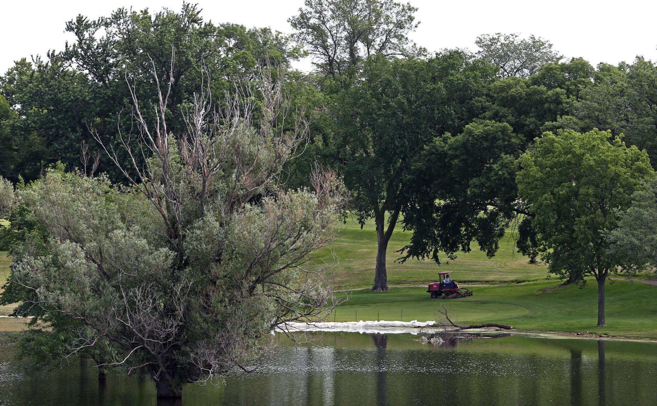 Meadowbrook Golf course holes are covered in water, weeks after the storms and heavy rains. 15 of the 18 holes at the Hopkins course are covered with water, some eight to ten feet deep.] Photographed on 7/9/14. Bruce Bisping/Star Tribune bbisping@startribune.comr. 15 of the 18 holes at the Hopkins course are covered with water weeks after the storms.] Photographed on 7/9/14. Bruce Bisping/Star Tribune bbisping@startribune.com