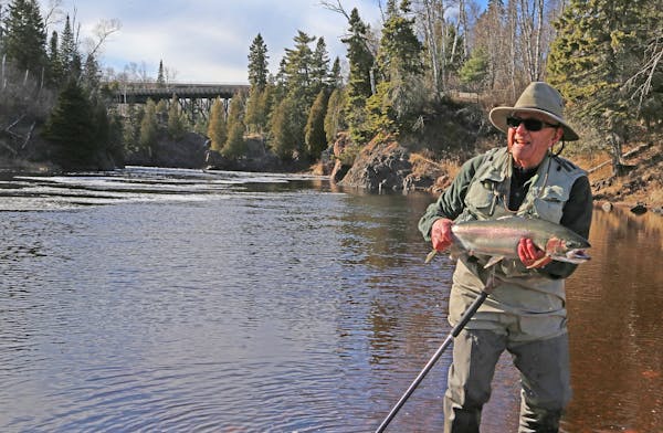 Before catching this steelhead last week on the North Shore, Dave Zentner of Duluth feared it&#x2019;d be &#x201c;too early&#x201d; to get much action