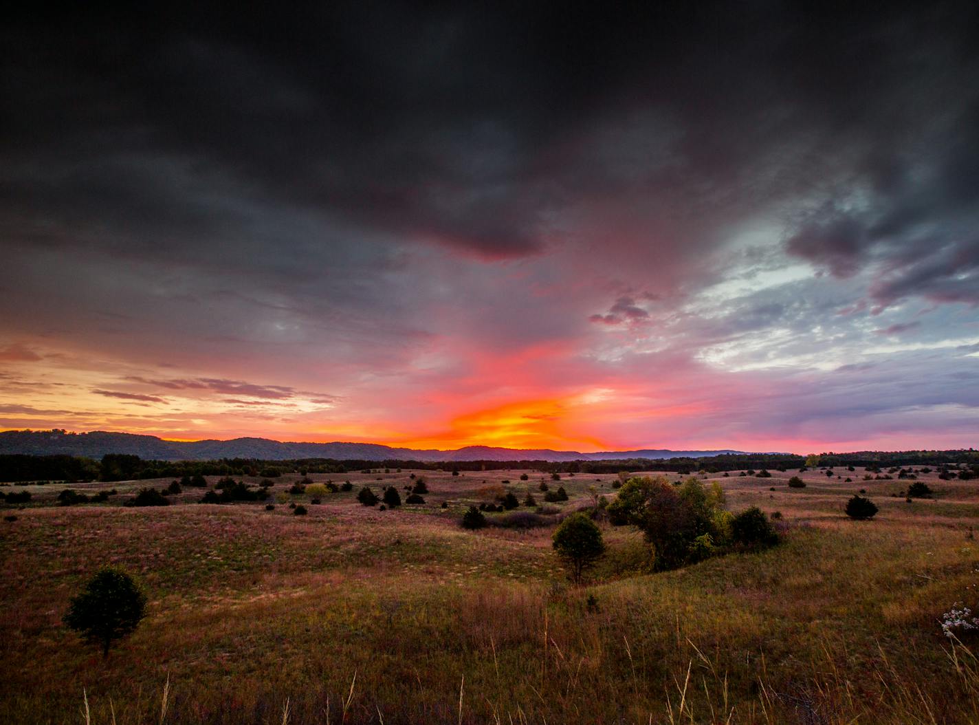 The setting sun cast a pink glow on the autumn grasses of Weaver Dunes, a sand prairie near the confluence of the Zumbro and Mississippi Rivers.