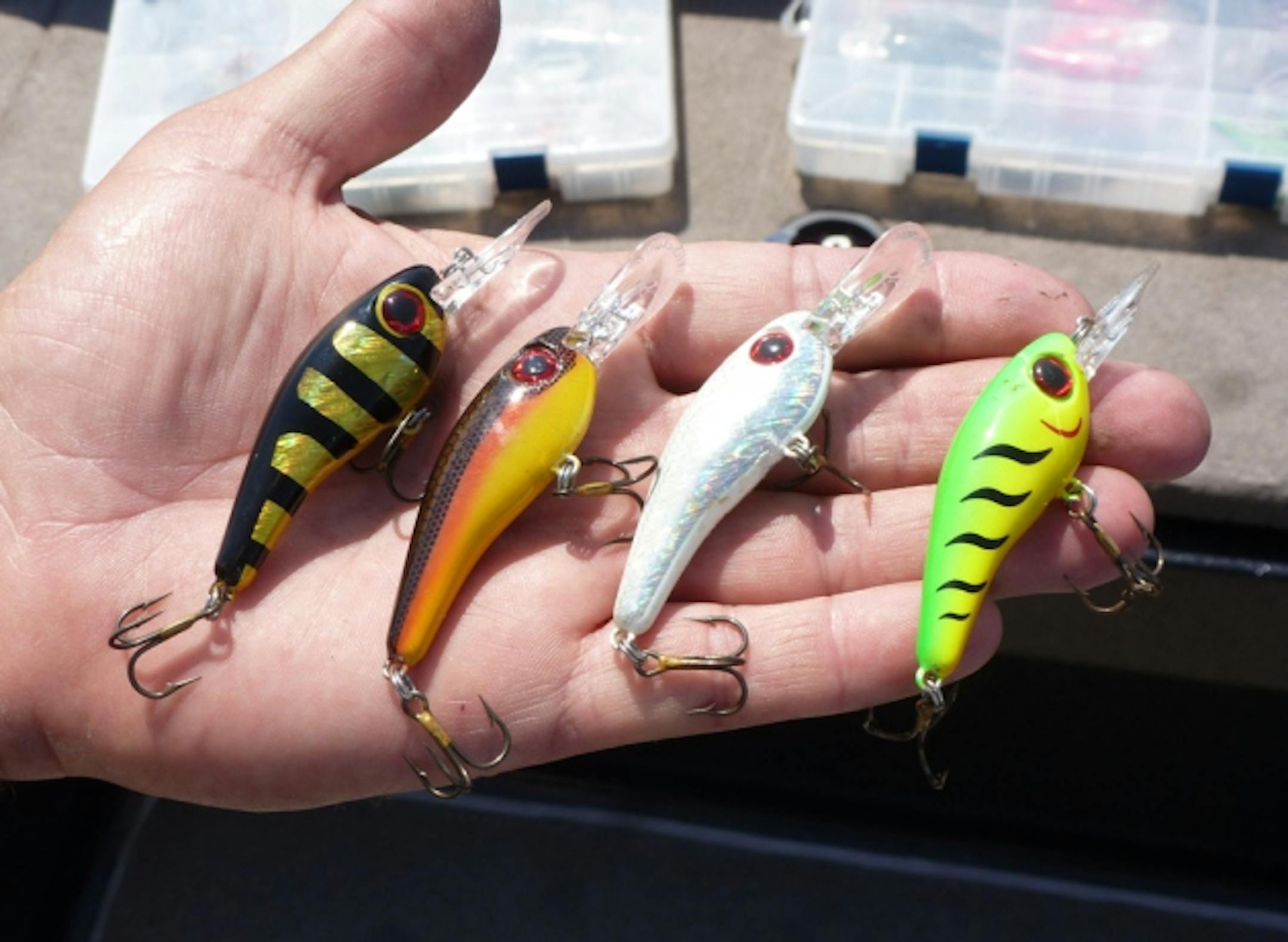 The hot lure that day was Lindy Shadlings. Lucky for us, Thelen had some of the patterns (from left to right): Bumblebee, Red Racer, White Shad and Firetiger.