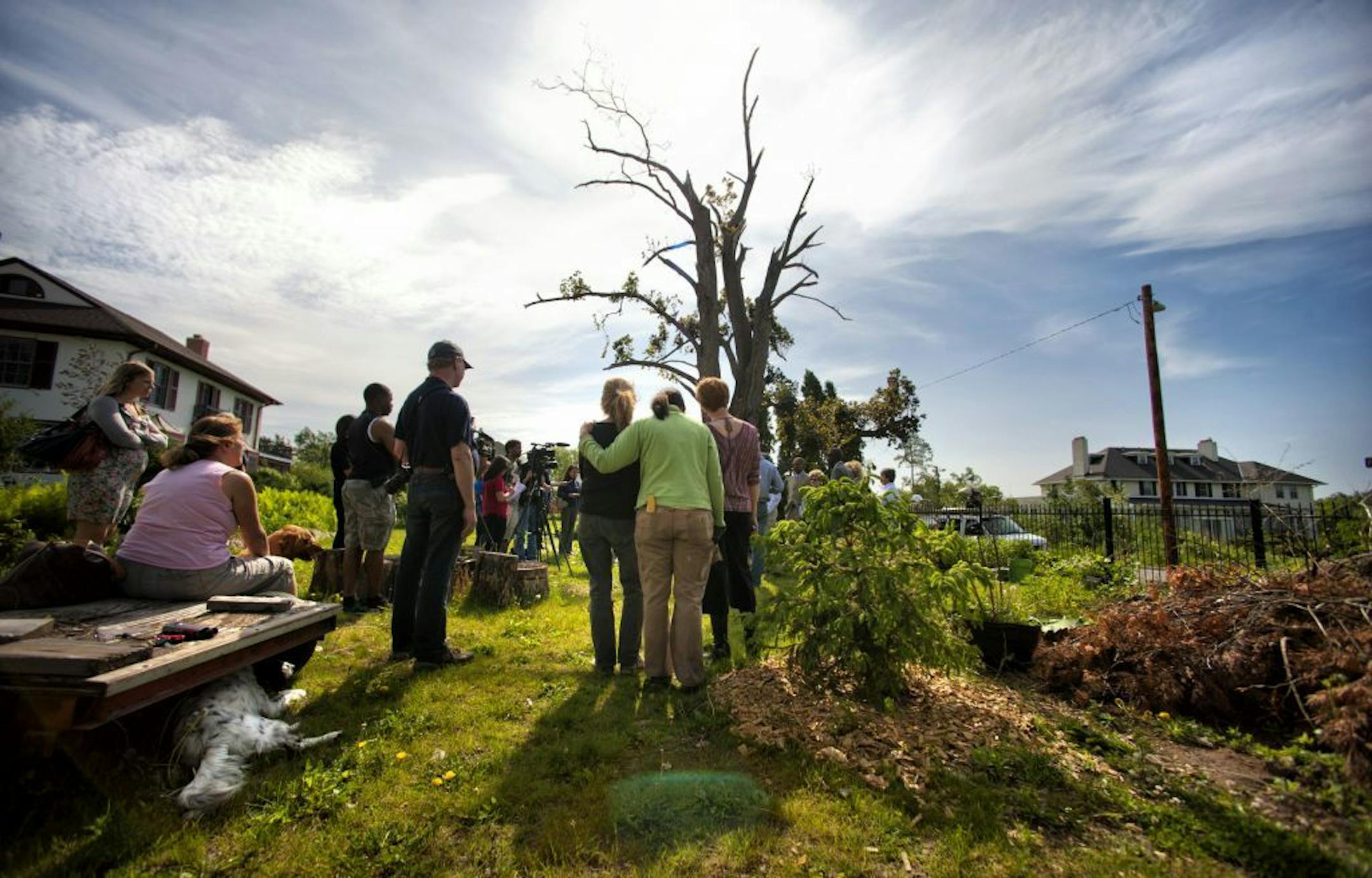 Tree Trust arborist Karen Zumach, center, put her arm around Jan Carstens as a Black Hills spruce was planted in Carstens' yard Tuesday, the one-year anniversary of a tornado that devastated north Minneapolis and resulted in the deaths of two men. One of them was Rob MacIntyre, Carstens' husband and a Tree Trust supporter.