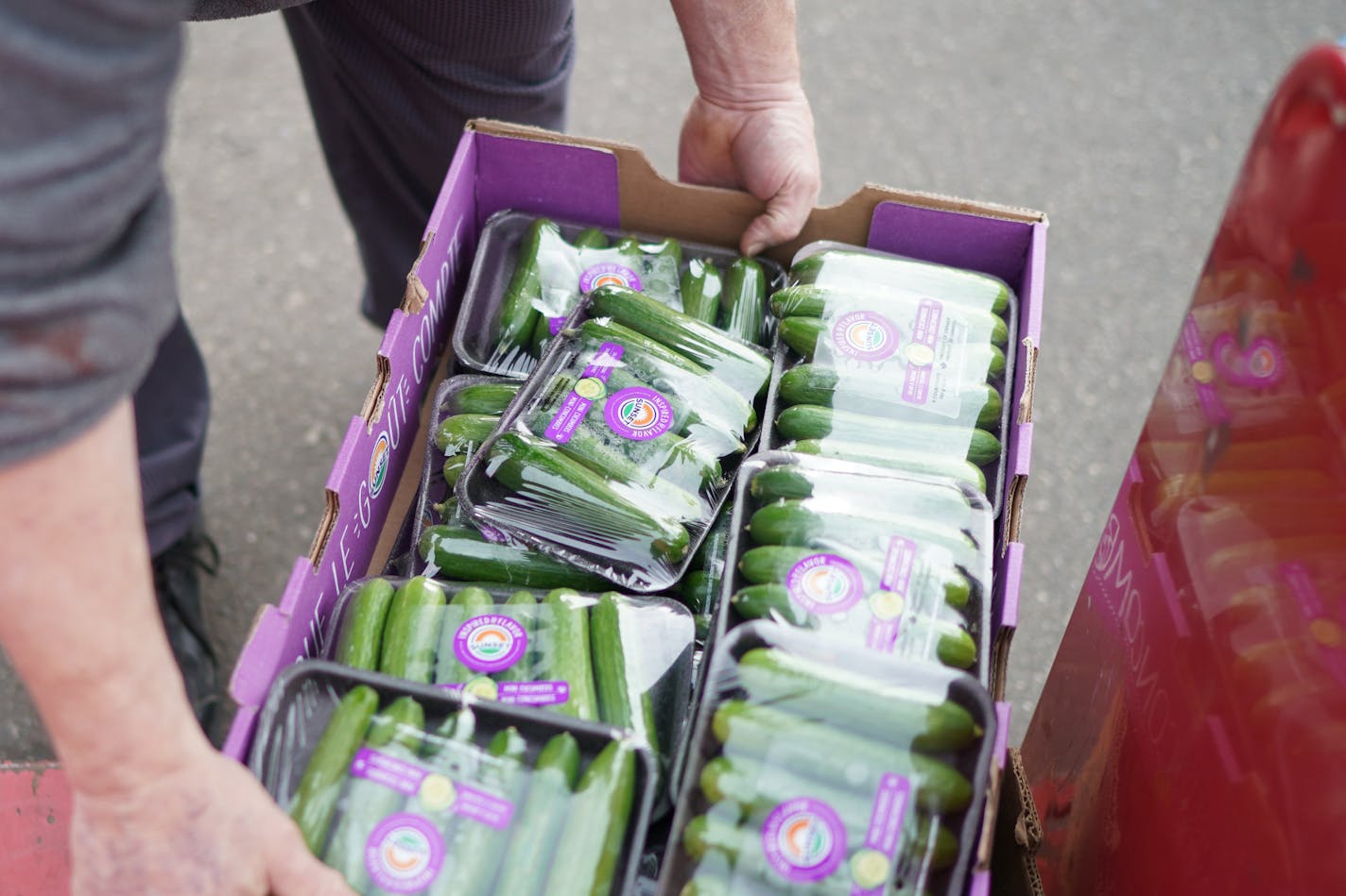 Brian Chaffee loaded a flat of mini cucumbers into his van to take the food and supplies back to Pine River on the 360 mile roundtrip. There wasn't much room to spare and Brian was relieved that it all fit inside. ] GLEN STUBBE &#x2022; glen.stubbe@startribune.com Friday, November 8, 2019 Brian Chaffee, 58, is a resort chef and longtime resident in Pine River. When the federal government shutdown earlier this year threatened access to food assistance to Minnesotans in need, Chaffee and his famil