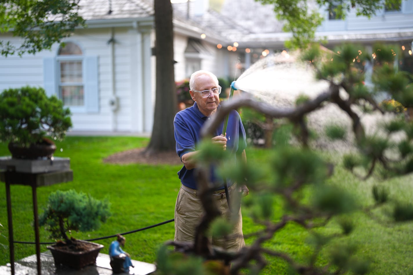 Curt's 12 bonsai trees need watering 2 to 3 times a day Friday, Aug. 18, 2023 Hopkins, Minn. For the 50 or so years Beautiful Garden winners Bette and Curt Fenton have lived in their Hopkins home, they've always had a garden. ] GLEN STUBBE • glen.stubbe@startribune.com