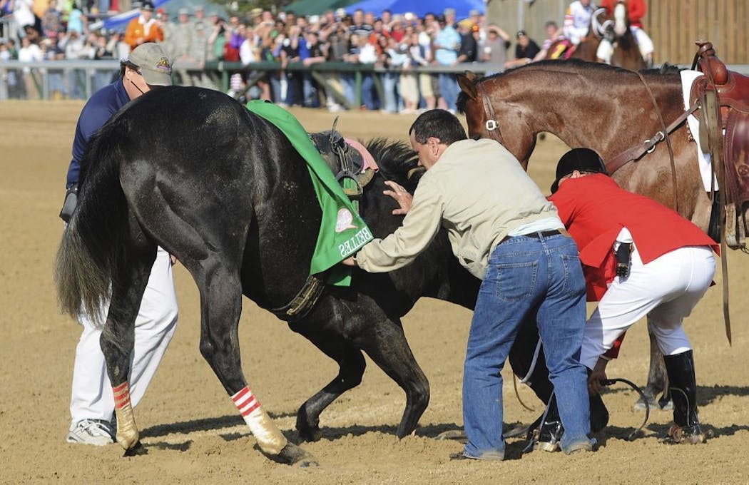 In this May 3, 2008 photo, track personnel try to hold down Eight Belles after the 134th Kentucky Derby at Churchill Downs in Louisville, Ky. Eight Belles was euthanized after breaking both front ankles following a second-place finish in the Kentucky Derby.