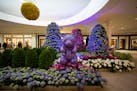 The gummy bear garden is filled with hydrangeas at the Galleria in Edina. The Galleria Floral Experience with gardens by Bachman's is back with a suga