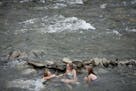 Visitors soak in a natural formed jacuzzi in the Boiling River, where a large hot spring mixes with the cold Gardner River, in the Mammoth area of Yel