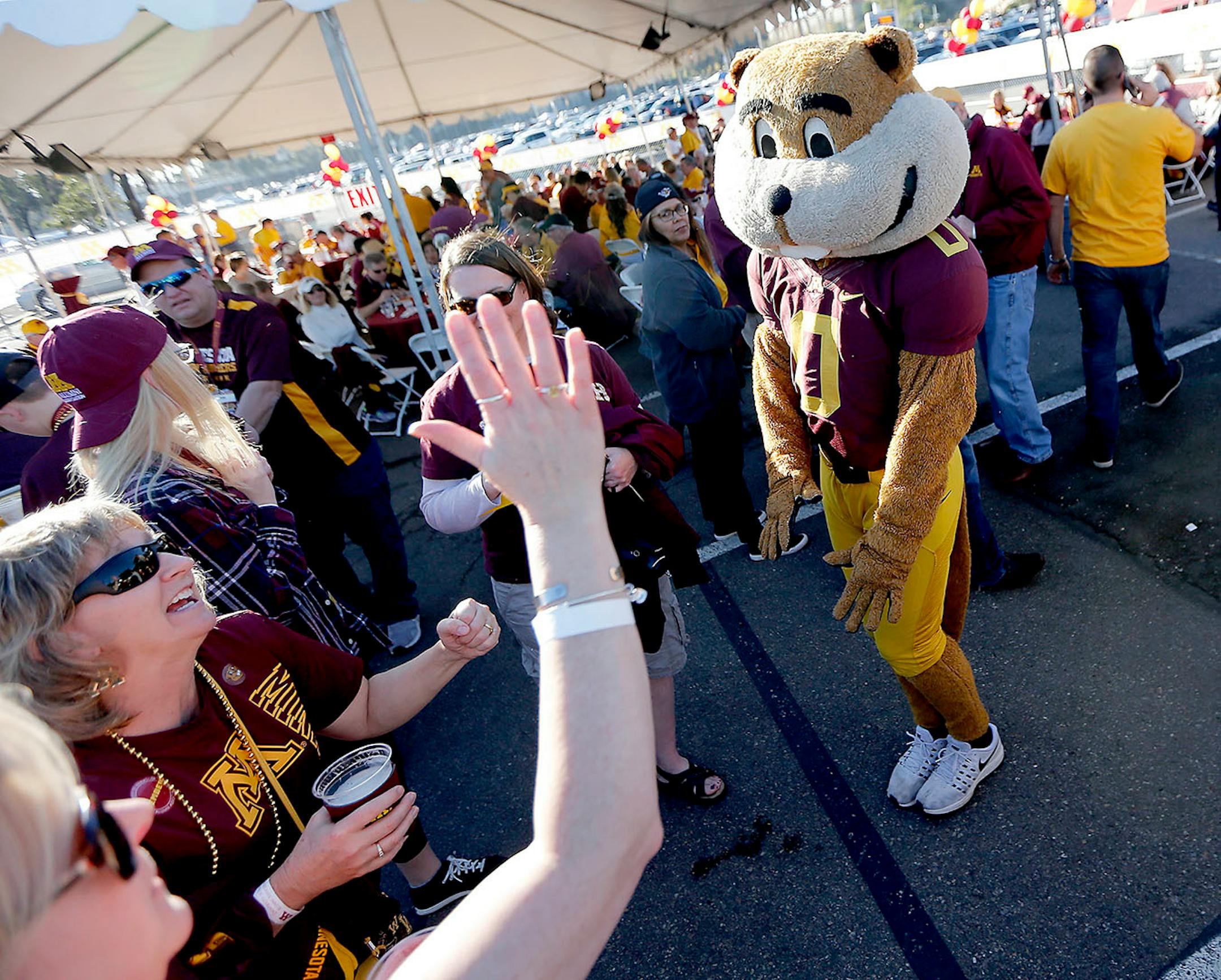 Minnesota's mascot "Goldy" entertained fans at Qualcomm Stadium during the San Diego Holiday Bowl, Tuesday, December 27, 2016 in San Diego, CA.