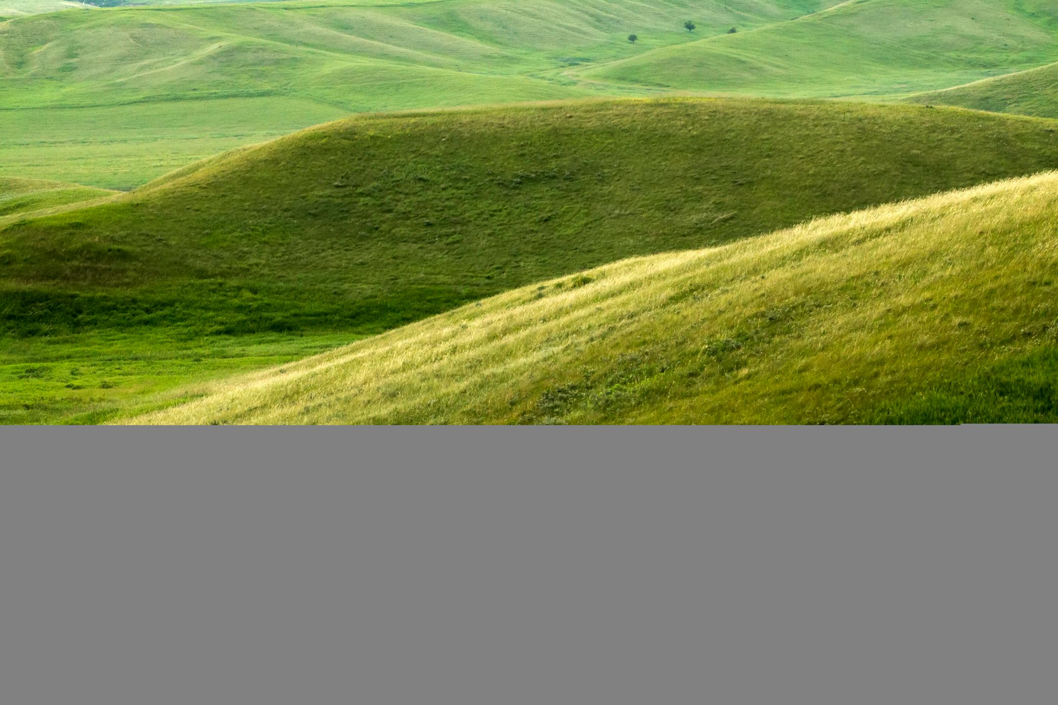 The steep slopes and valleys of the Hole in the Mountain prairie south of Lake Benton are home to more that 200 species of wildflowers and 60 different grasses, sedges and rushes. Native Americans who passed through the half mile wide valley called it "Hole in the Mountain" or "Mountain Pass." ] Minnesota State of Wonders - Summer on the Prairie. BRIAN PETERSON � brian.peterson@startribune.com Lake Benton, MN 08/02/14