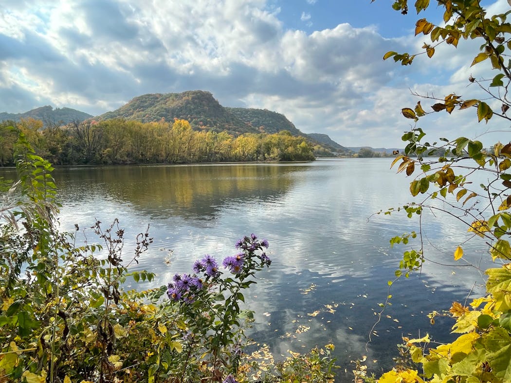 Unaffected by glaciation, ancient Driftless Area bluffs stand over Lake Winona in Winona, Minn.