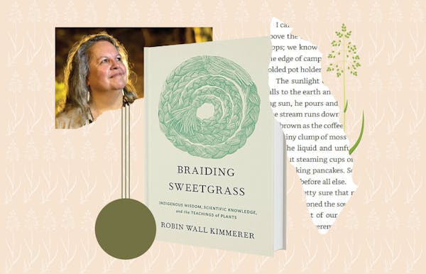 How the Minnesota book 'Braiding Sweetgrass' became a culture-shifting bestseller