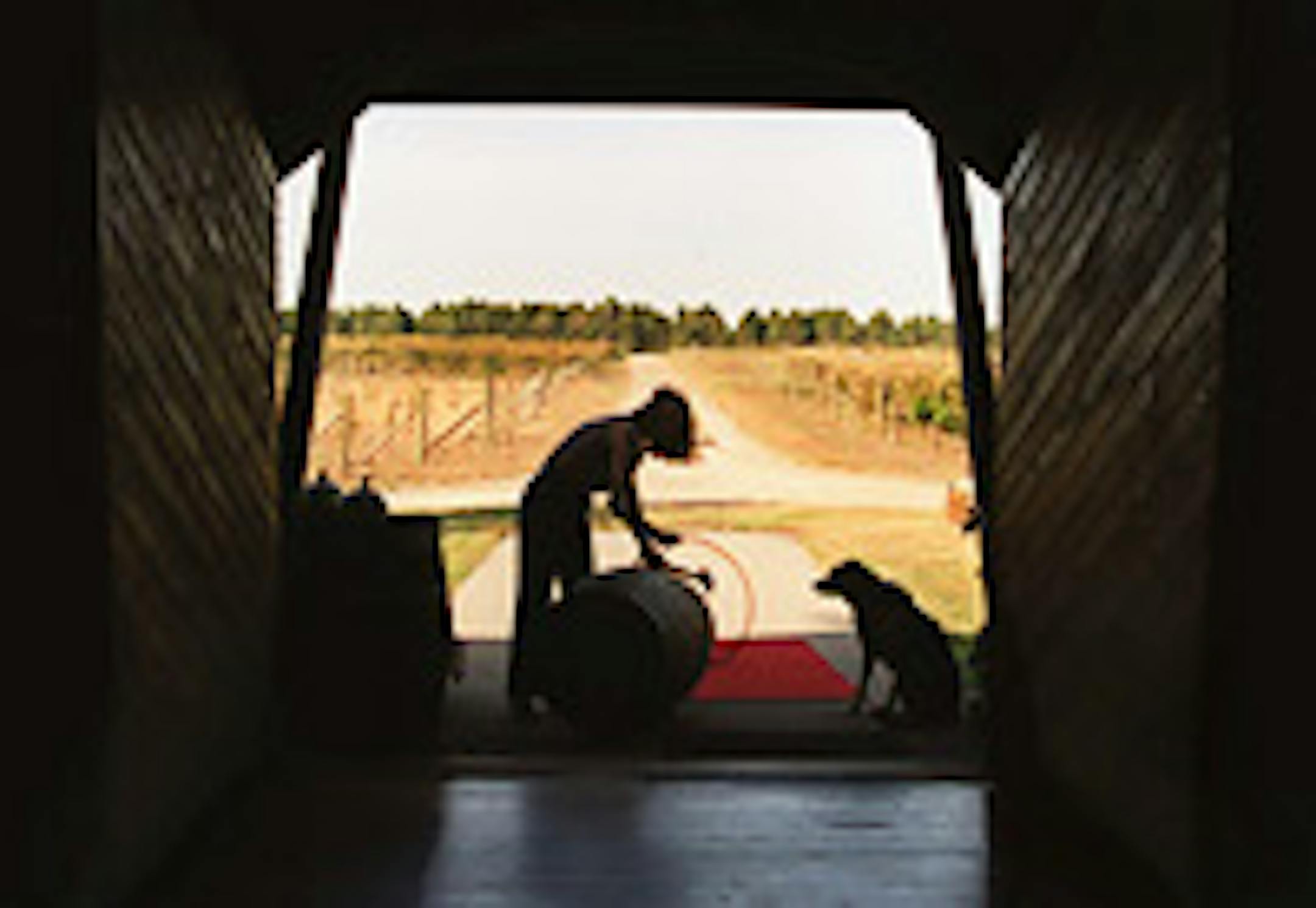 Alexis Bailley Vineyard