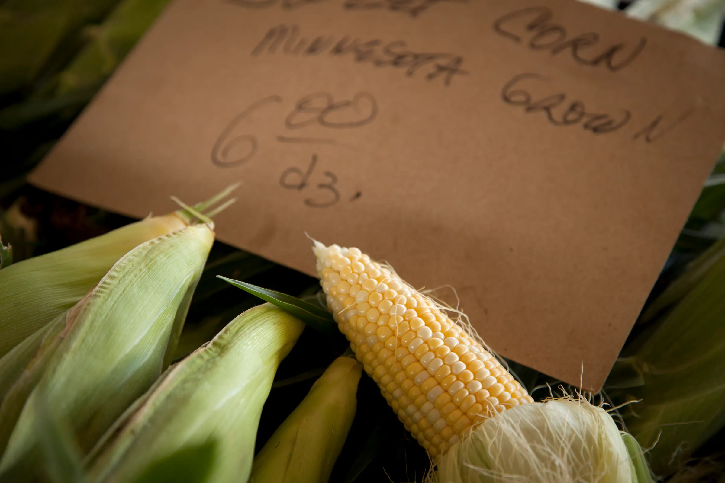Ramstad: As U.S. food policy falls apart, farmers still win while poor people lose