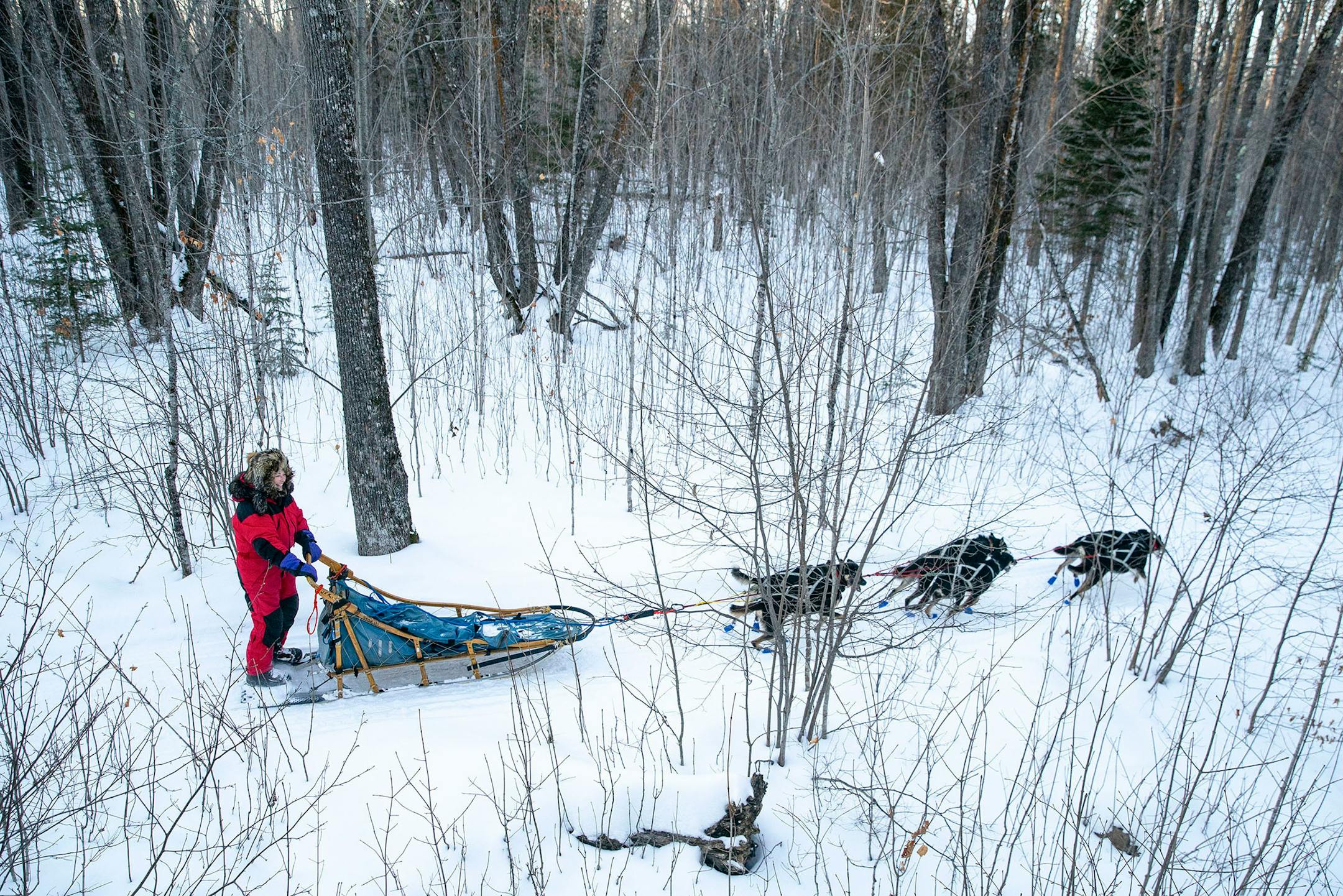 Colleen Wallin mushed her sled dog team through the woods during a speed training run on January 26, 2021.