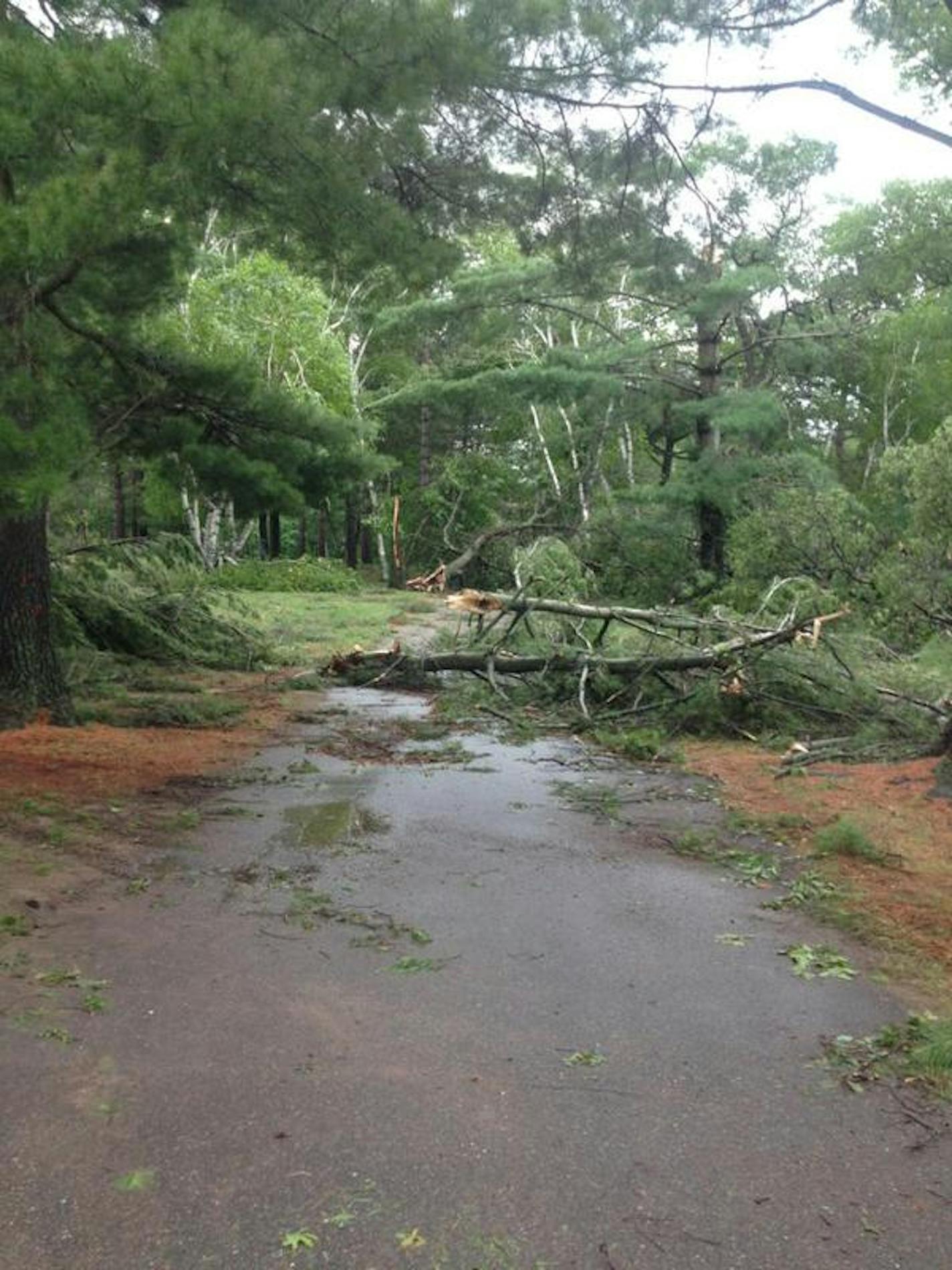 Storm damage knocked out power in Legionville. Many trees and power poles are down, blocking roads.