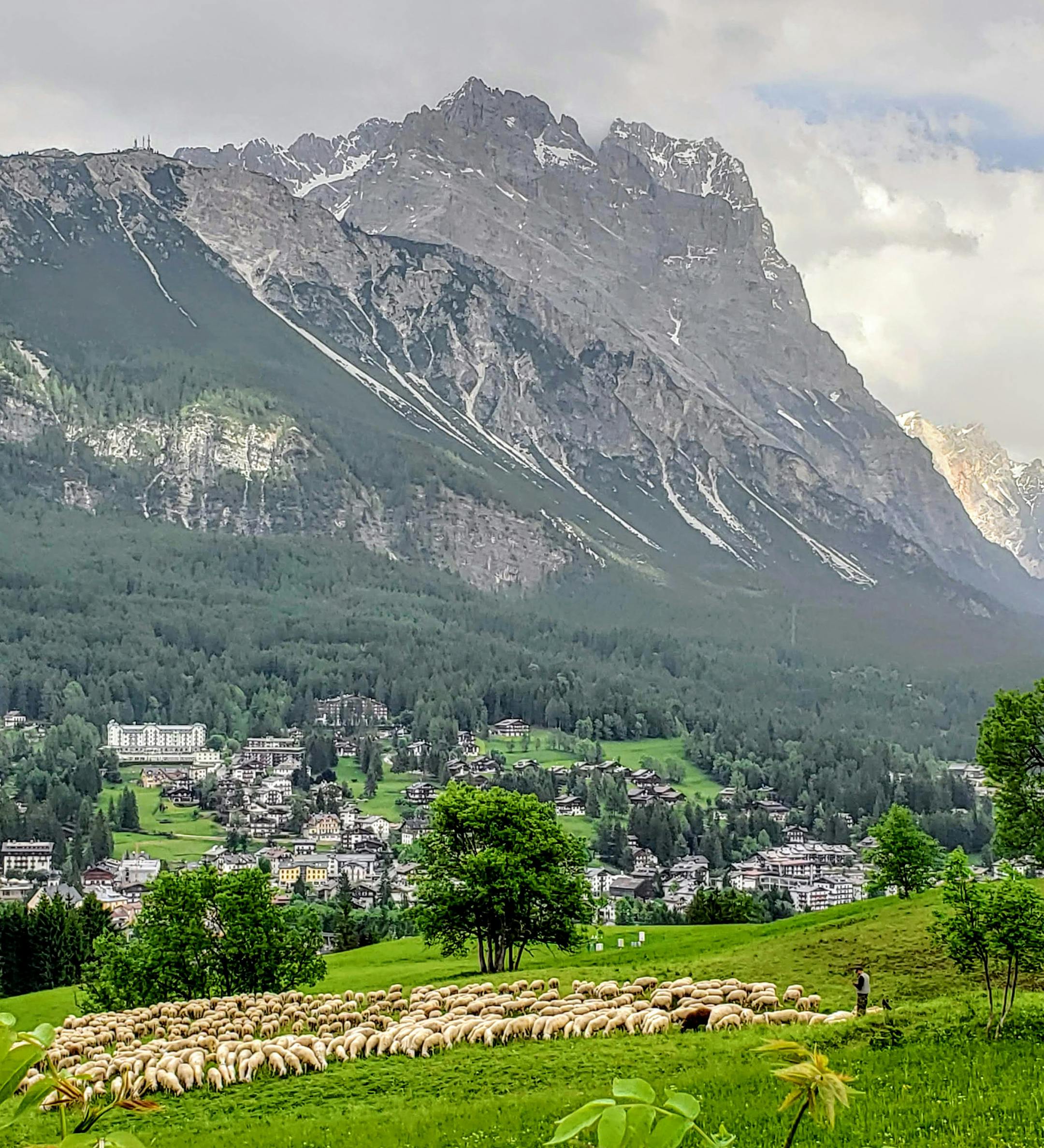 Can I have your name as you would like it to appear in print, and the town in which you live? Kara Greshwalk, Minneapolis, MN
Where were you when you took this photo? What does it show? My husband Sam and I were vacationing in Italy. We had rented a car that day to explore the Dolomites, and pulled over to take in the view of Cortina and its Olympic Village from 1956. I was trying to get a photo of the town and the mountains in the background, when Sam spotted the flock of sheep. We stumbled thr