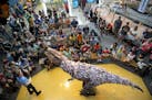A life-size juvenile T-Rex puppet operated by Yvonne Freese roared at the crowd as part of the Science Museum of Minnesota's "How to Train Your Dinosa