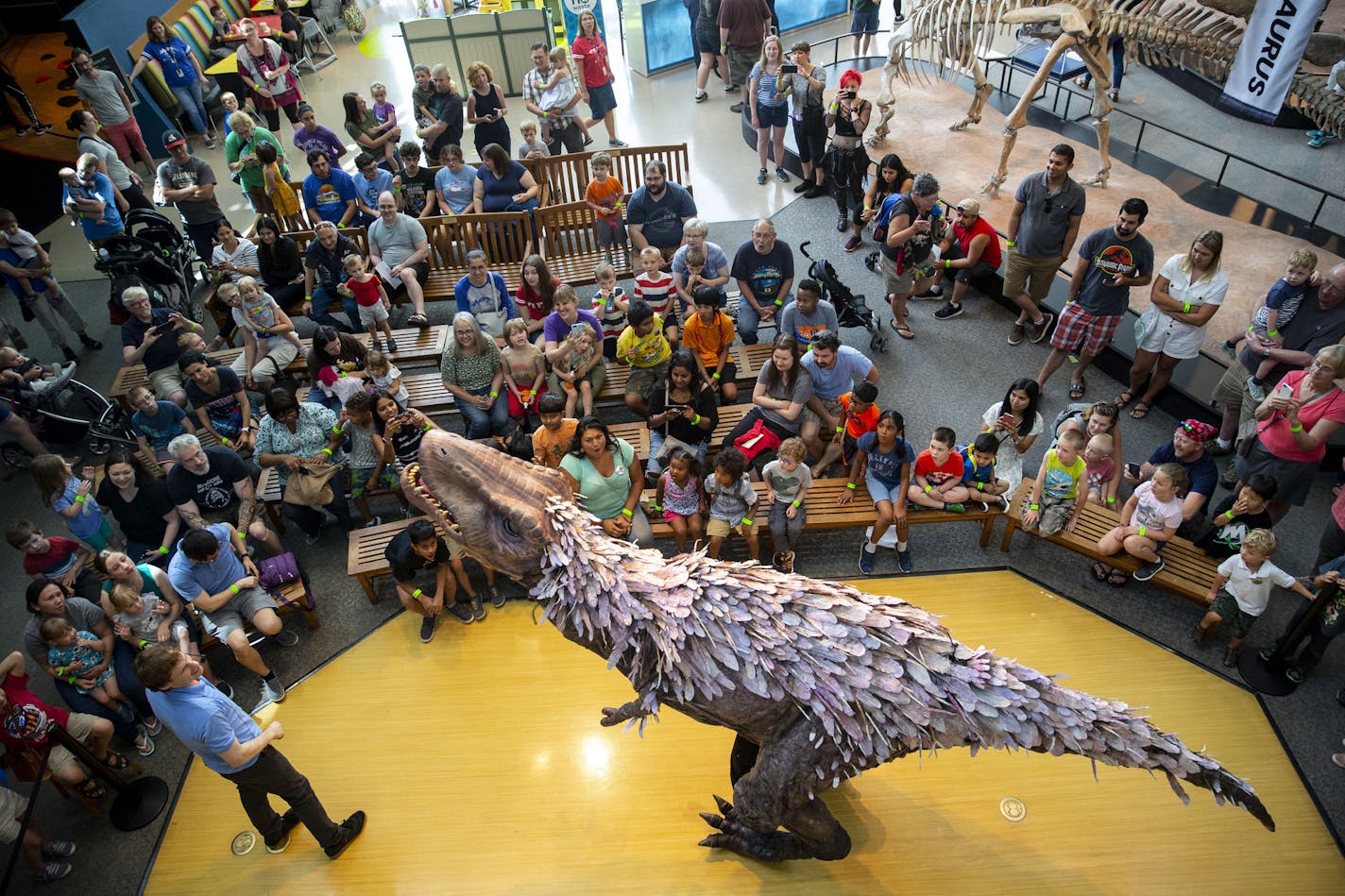 A life-size juvenile T-Rex puppet operated by Yvonne Freese roared at the crowd as part of the Science Museum of Minnesota's "How to Train Your Dinosaur" show in 2019.