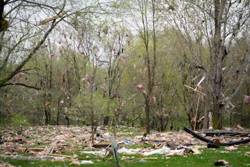 Authorities confirm that a man, woman and dog were killed after a home exploded in the early hours near Princeton Township on Tuesday.