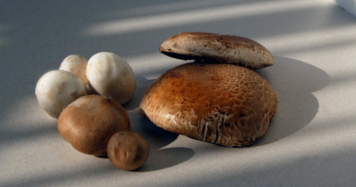 5/23/2003--Mushrooms and sizes: large mushrooms: Portabella small brown mushroom: Baby Bellas and the small white mushroom: Cap or Button Mushrooms