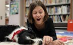 Layla Larsen, 9, a fourth grader at Sioux Trail Elementary School laughed as she read with therapy dog Arthur, a 5-year-old English Springer Spaniel, 