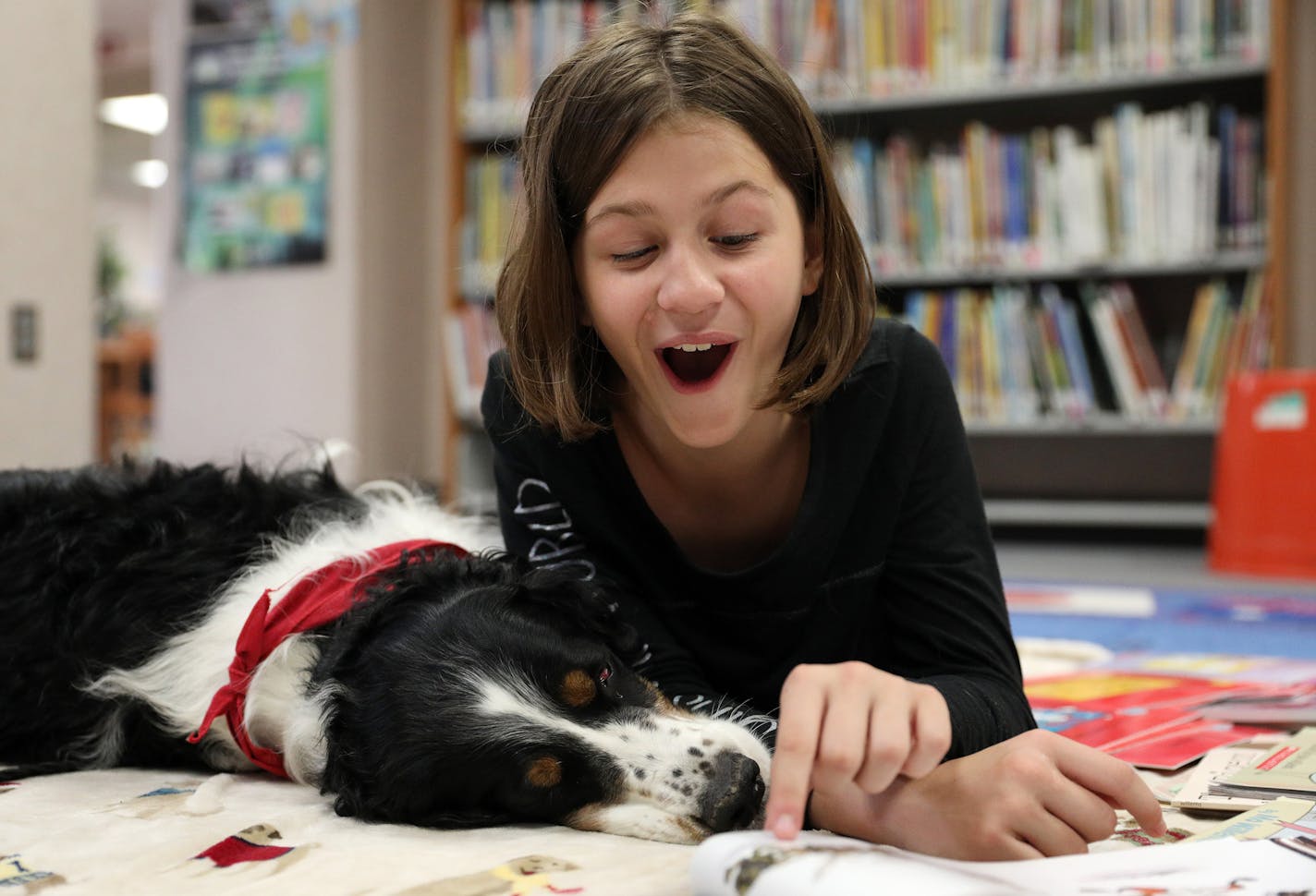 Layla Larsen, 9, a fourth grader at Sioux Trail Elementary School laughed as she read with therapy dog Arthur, a 5-year-old English Springer Spaniel, owned by Jan Rempher Tuesday.] ANTHONY SOUFFLE &#xef; anthony.souffle@startribune.com Jan Rempher and her therapy dog Arthur, a 5-year-old English Springer Spaniel, read with students Tuesday, June, 5, 2018 at Sioux Trail Elementary School in Burnsville, Minn. Students struggling with reading say Arthur helps them to hone their skills and build up