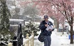 With cherry trees blooming in the background, U.S. Postal Service letter carrier Dugan Hahn delivers the mail on the first day of spring, Tuesday Marc