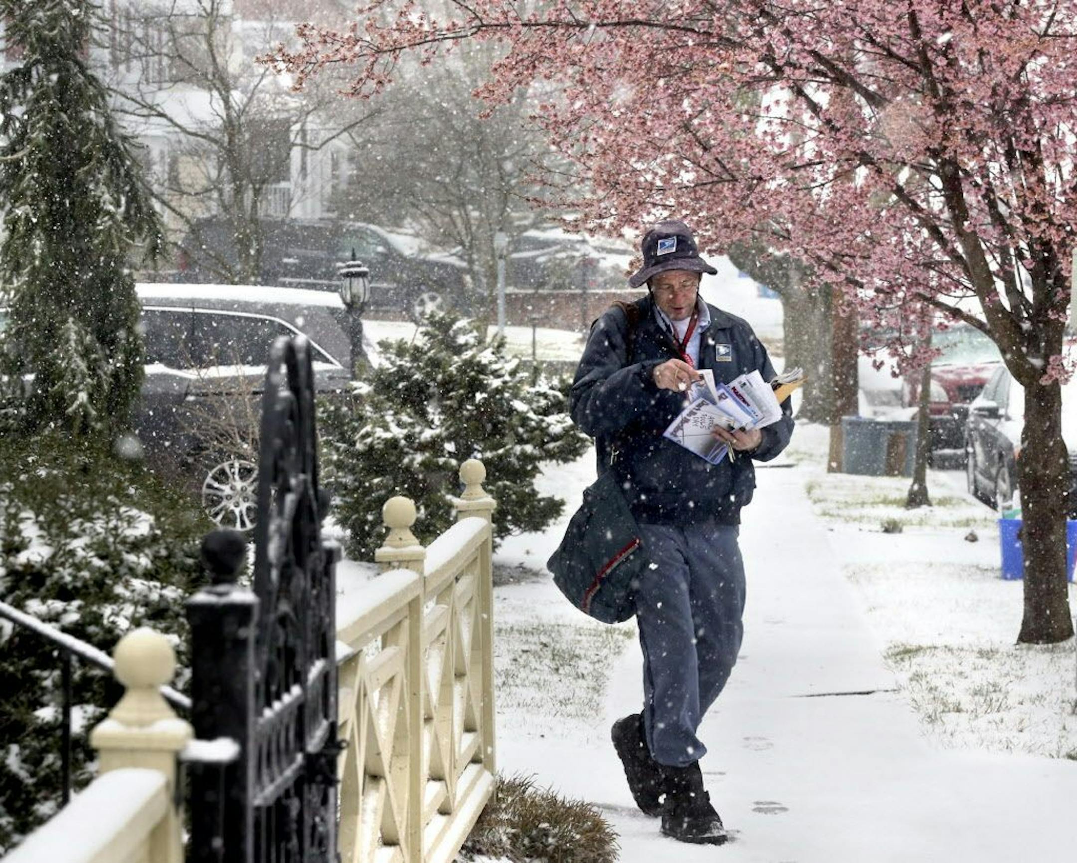 With cherry trees blooming in the background, U.S. Postal Service letter carrier Dugan Hahn delivers the mail on the first day of spring, Tuesday March 20, 2018, in Winchester, Va.