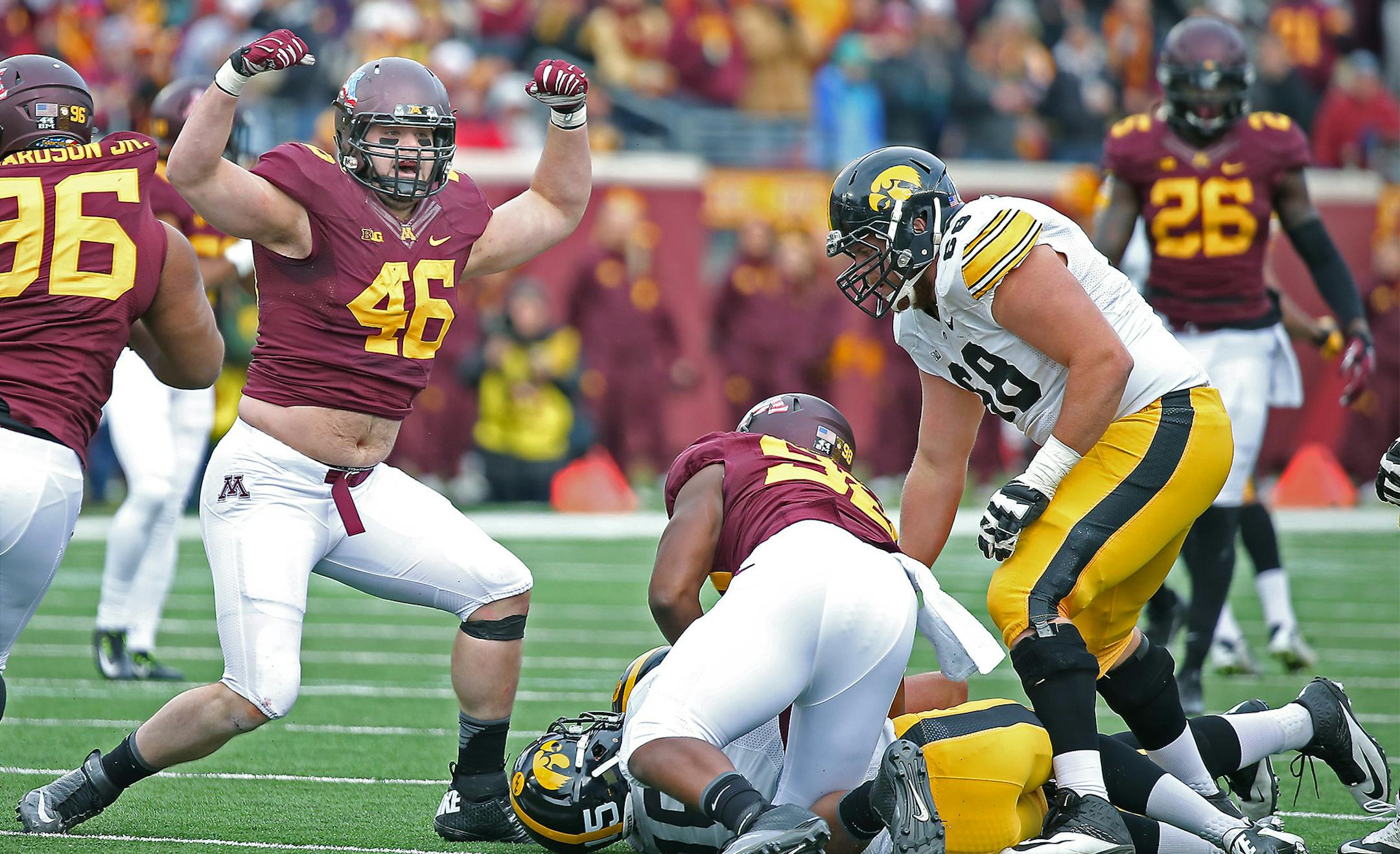 Minnesota's defensive lineman Cameron Botticelli (46) celebrated a sack in the third quarter as the Gophers took on the Iowa Hawkeyes, Saturday, November 8, 2014 at TCF Bank Stadium.
