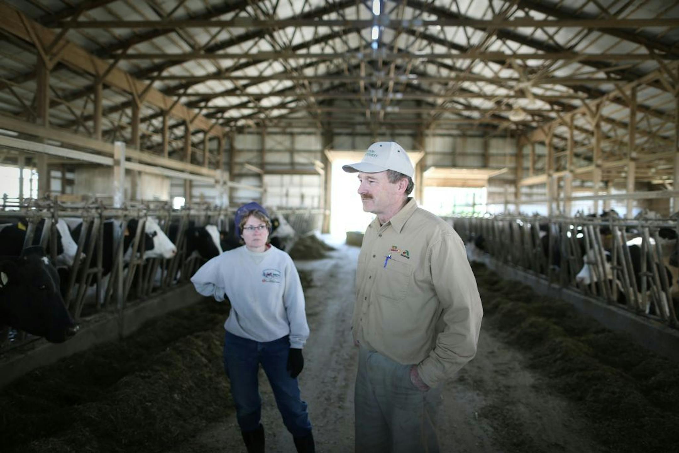 Dave Buck, owner of Buck's Unlimited, is against newly proposed milk production quotas and price supports placed in the federal farm bill by Minnesota Rep. Collin Peterson. He stood in one of his barns with his wife Ann on Thursday, April 26, 2012 in Goodhue, Minn. Buck owns a 500 cow dairy farm, a large size farm in Minnesota.
