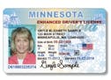 Minnesota sample identification card and drivers license. This is a sample provided by the Minnesota department of Public Safety ORG XMIT: MIN15092616