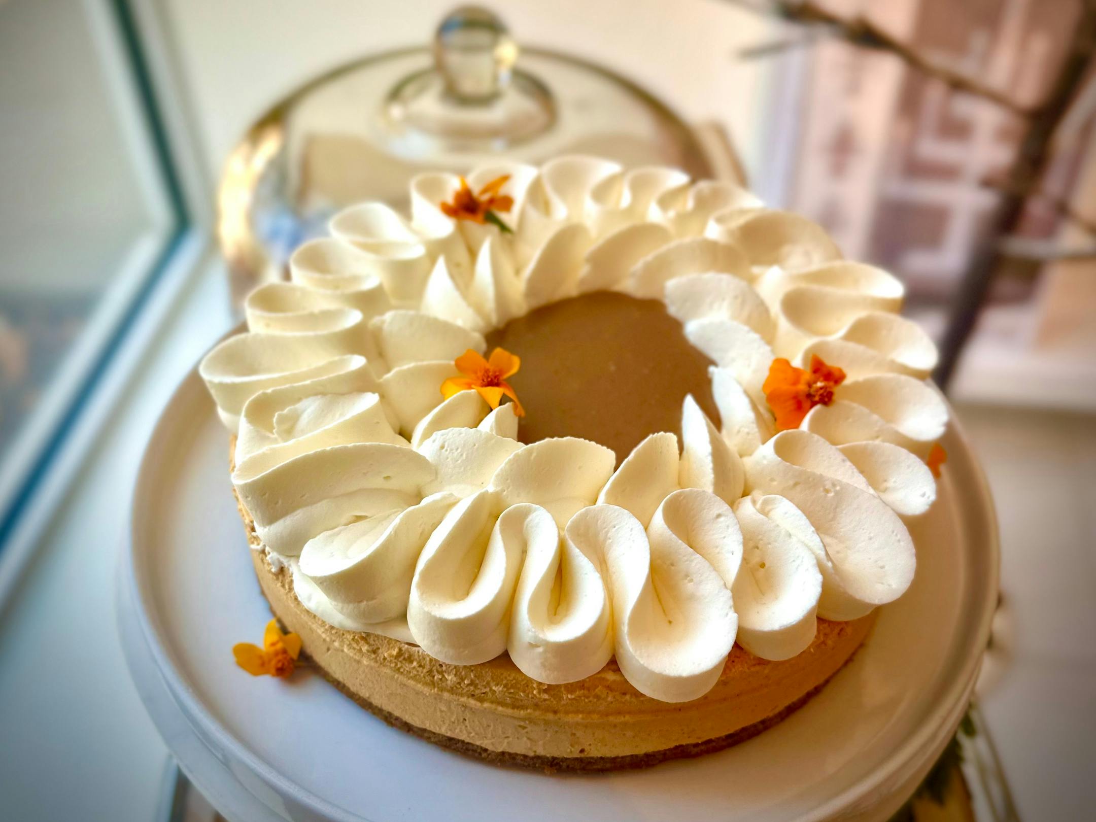 Chef Amalia Obermeier-Smith's Pepparkakor Pumpkin Cheesecake gets an extra flourish with sweetened whipped cream.