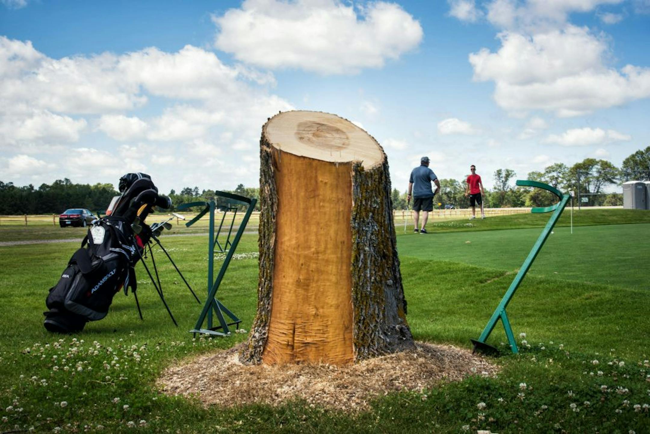 Charles Erickson told his grandsons Drew and Alec, both 14, when they were younger, he remembered watching them play golf from the shade of this now gone ash tree at Madden's resort in Nisswa, Minn. on Friday, July 17, 2015. (Glen Stubbe/Star Tribune via AP) ST. PAUL PIONEER PRESS OUT; MAGS OUT; TWIN CITIES LOCAL TELEVISION OUT; MANDATORY CREDIT