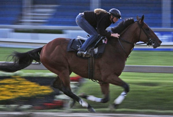 Big Brown won the Kentucky Derby and the Preakness, but failed to cross the finish line in the 2008 Belmont.