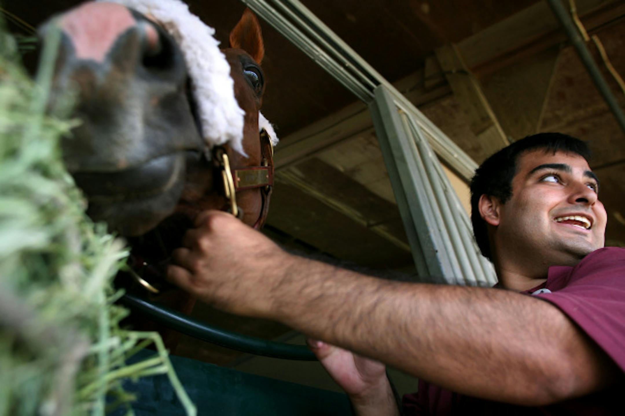 Herbie Felix, a groom and hot walker with Boys' Haven Equine, held Antrim County while another groom wrapped the horse's legs after Antrim County won the $50,000 Claiming Crown Iron Horse race at Canterbury Park. Felix, who speaks Spanish and English, communicated the trainer's race instructions to their Spanish-speaking jockey before the race.