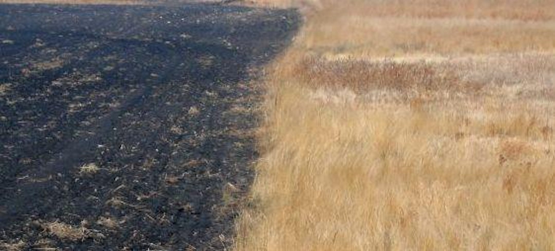 The USDA's proposal to reduce CRP to 24 million acres would make photos like this commonplace. That's unacceptable!