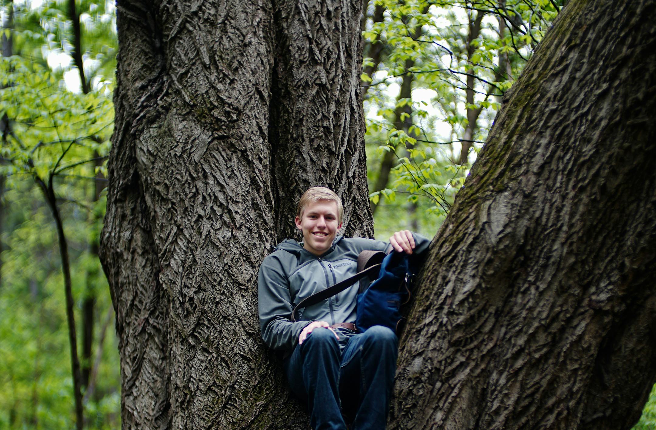 Richard Tsong-Taatarii rtsong-taatarii@startribune.com
Big-tree hunter Riley Smith tracked down the state's biggest butternut tree in a Roseville park.