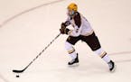 Former Gophers star Mike Reilly was among those who played for the Wild in the Traverse City prospect tournament.