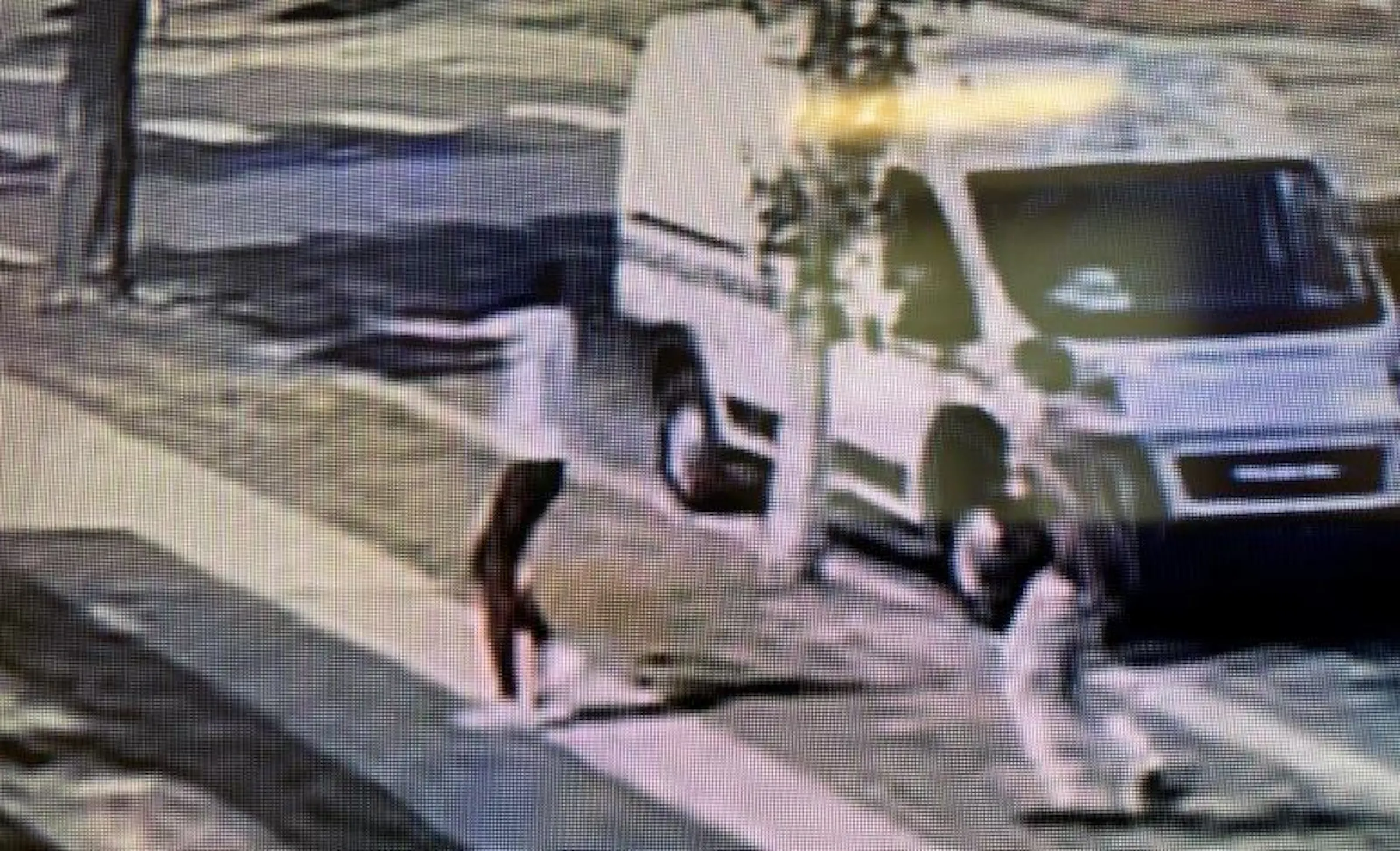 Reward of up to $50K offered in hopes of finding suspects who robbed ...