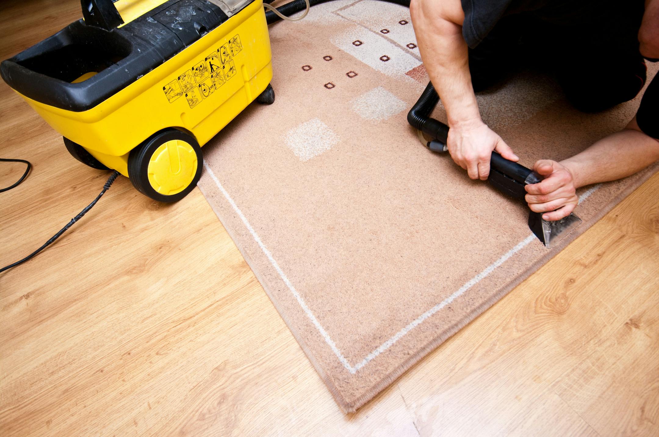 If you own pets, experts say itís imperative to use vacuum attachments to collect fur. (Handout/TNS) ORG XMIT: 1199080