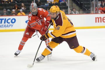 In-state dominance is something Gophers junior forward Leon Bristedt has never experienced. The Gophers have a dismal 4-13 record against the state's 