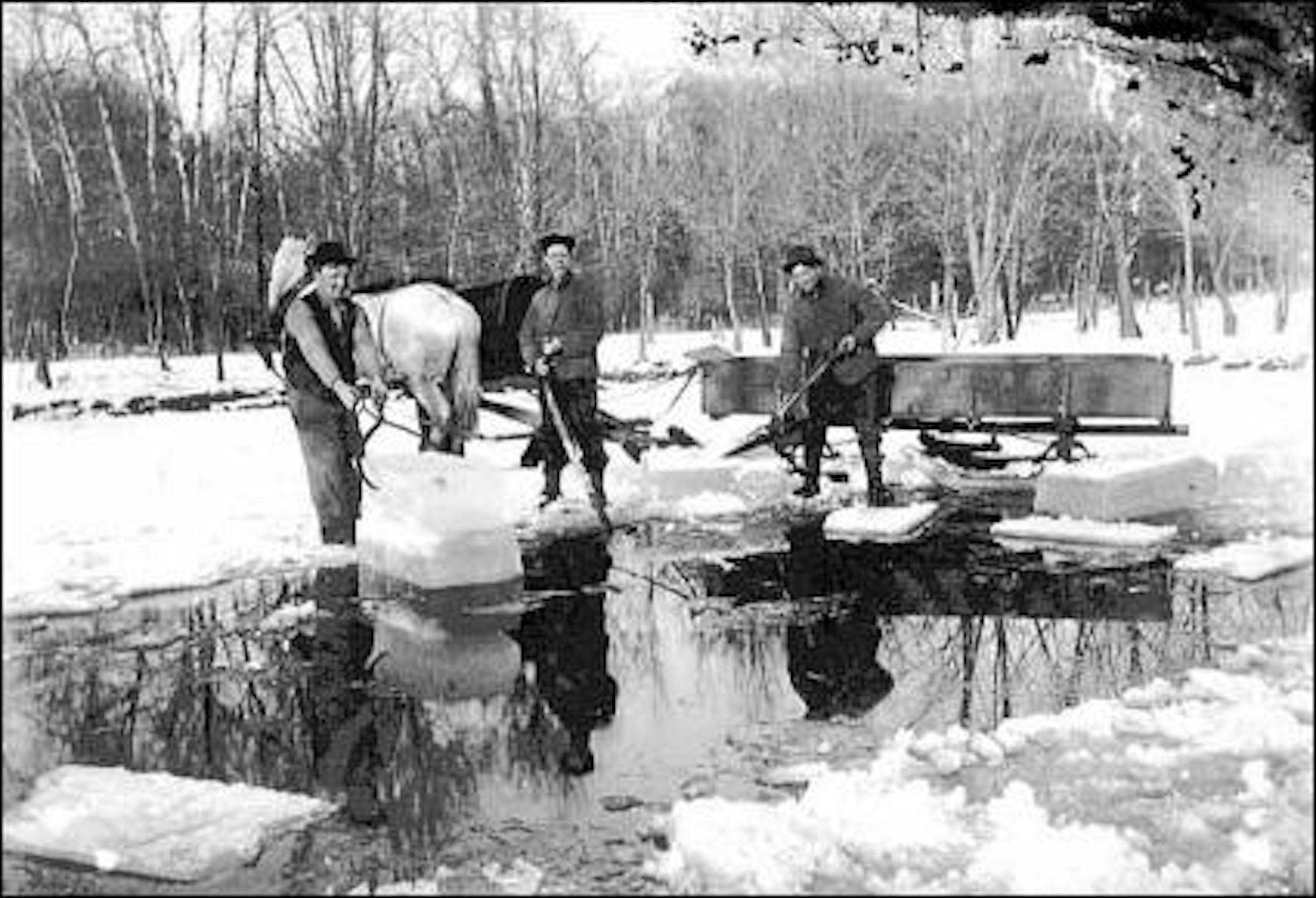 Ice harvest at Le Sueur farm, 1910
