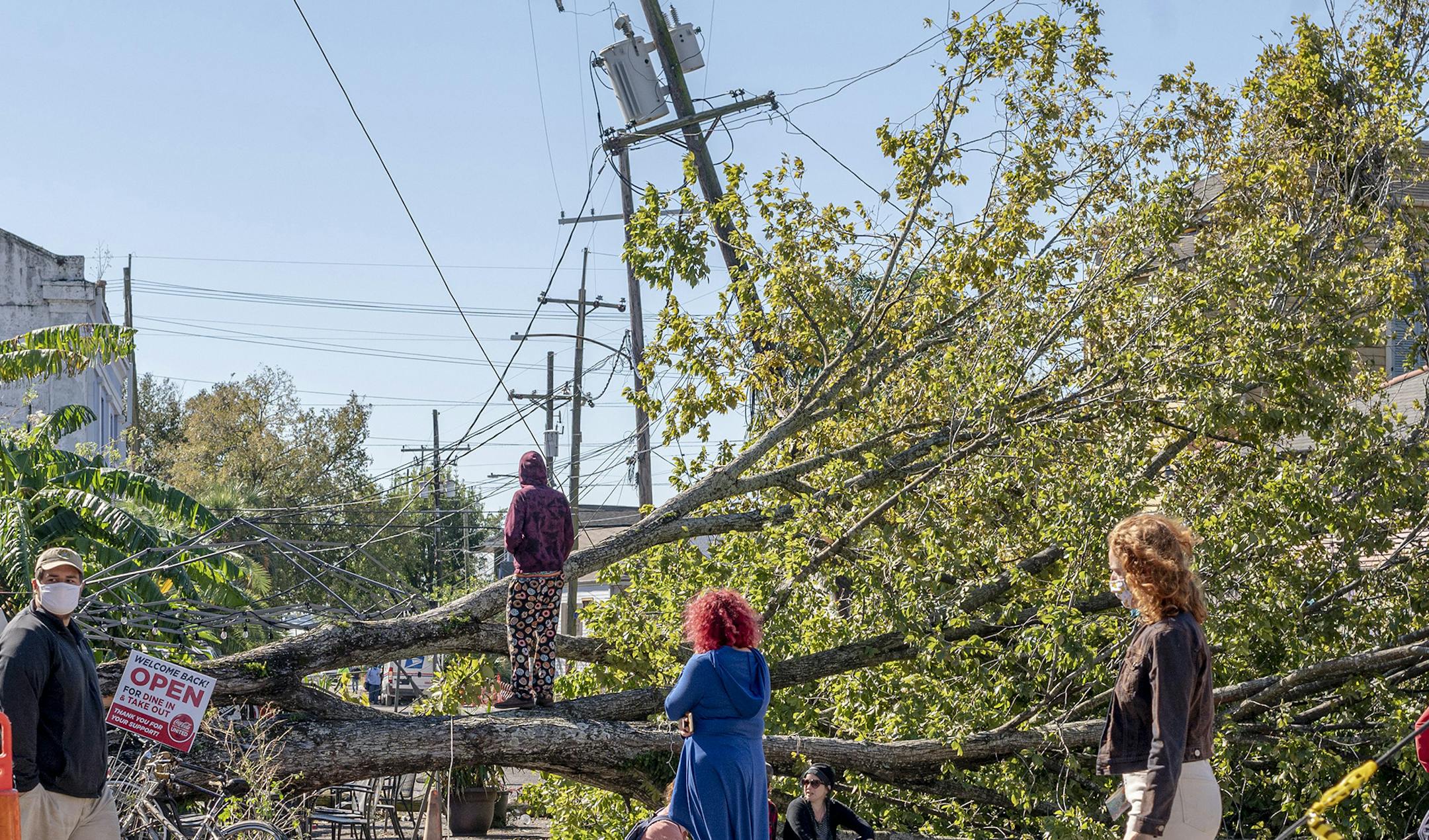 A downed tree after Hurricane Zeta classified as a Category 2 hit New Orleans, La., on Oct. 29, 2020. Tropical Storm Eta became the 28th named storm of the 2020 hurricane season, matching a record set in 2005. (Emily Kask/The New York Times)